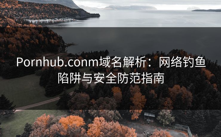 Pornhub.conm域名解析:网络钓鱼陷阱与安全防范指南 第1张 Pornhub.conm域名解析:网络钓鱼陷阱与安全防范指南 第1张