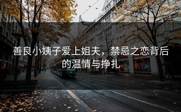 善良小姨子爱上姐夫，禁忌之恋背后的温情与挣扎  第1张
