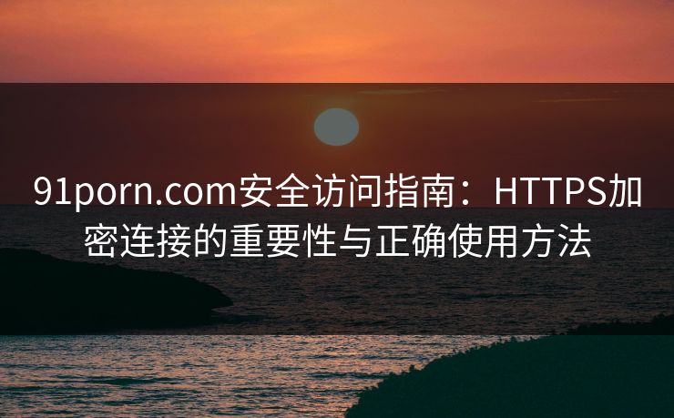 91porn.com安全访问指南：HTTPS加密连接的重要性与正确使用方法