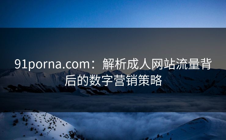 91porna.com：解析成人网站流量背后的数字营销策略