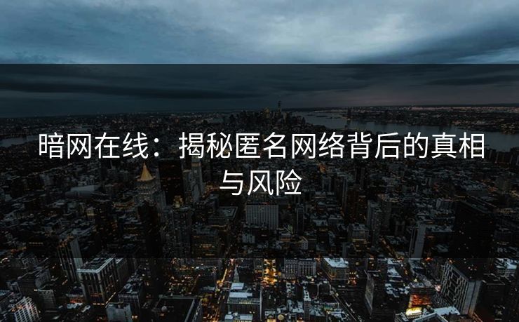 暗网在线：揭秘匿名网络背后的真相与风险
