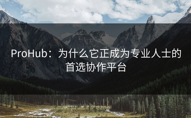 ProHub：为什么它正成为专业人士的首选协作平台