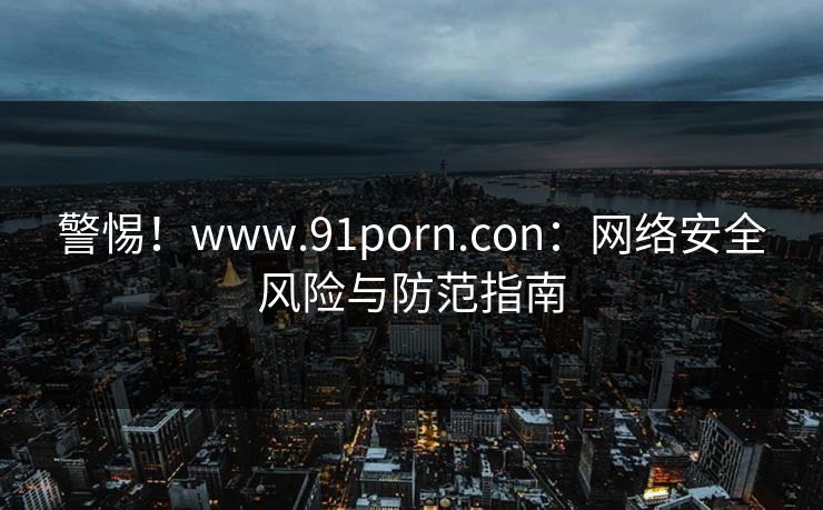 警惕！www.91porn.con：网络安全风险与防范指南