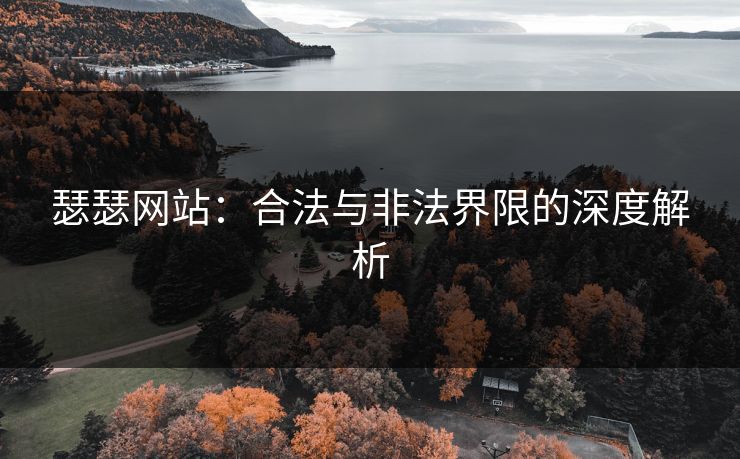 瑟瑟网站：合法与非法界限的深度解析