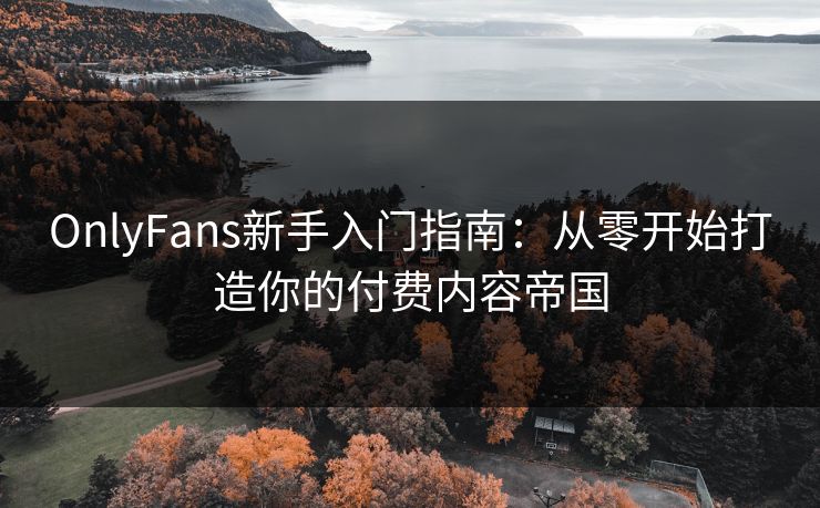 OnlyFans新手入门指南:从零开始打造你的付费内容帝国 第1张 OnlyFans新手入门指南:从零开始打造你的付费内容帝国 第1张