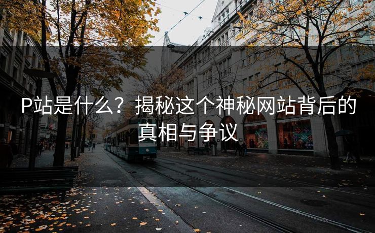 P站是什么？揭秘这个神秘网站背后的真相与争议
