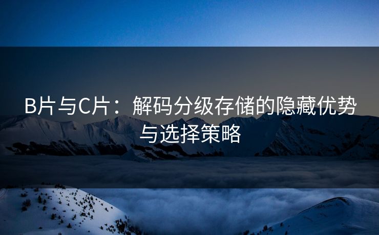 B片与C片：解码分级存储的隐藏优势与选择策略