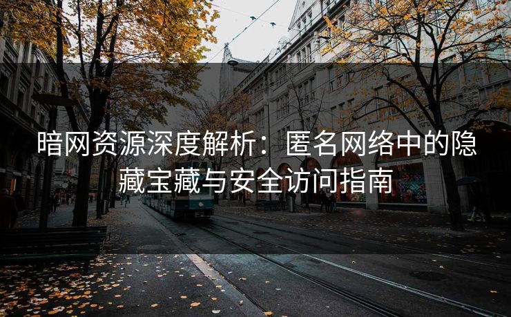 暗网资源深度解析：匿名网络中的隐藏宝藏与安全访问指南
