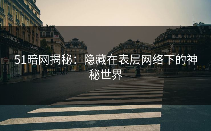 51暗网揭秘：隐藏在表层网络下的神秘世界